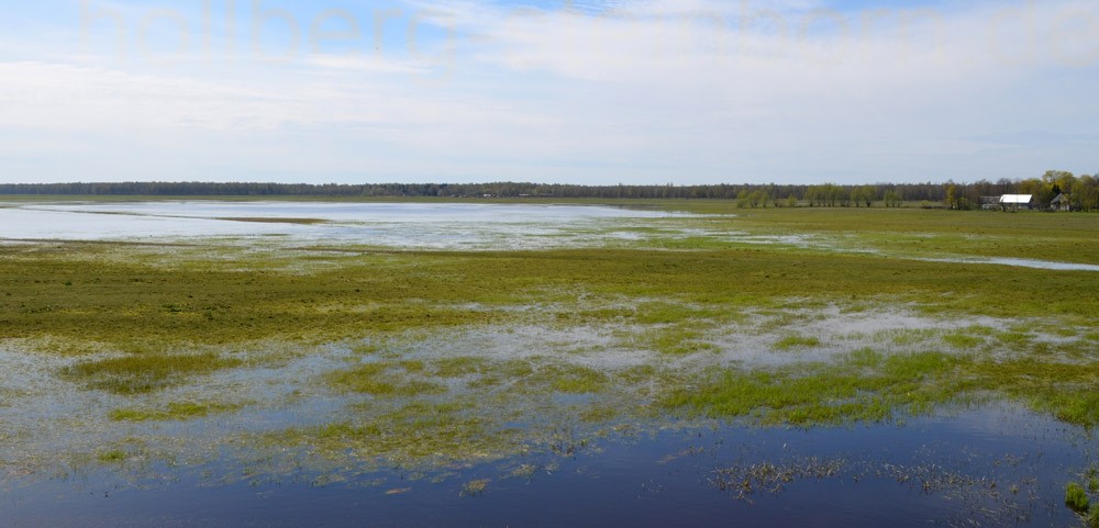 Memeldelta in Litauen