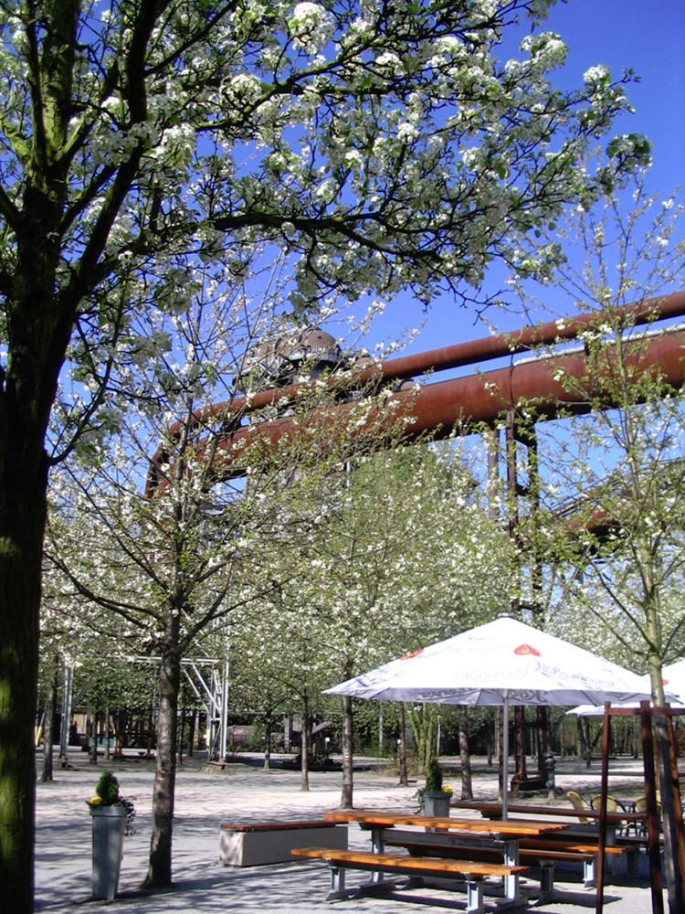Landschaftspark Duisburg- Nord
