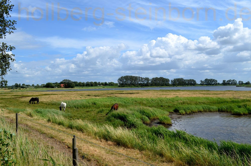 Insel Poel